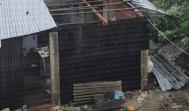 “GRACE” Y PANDEMIA POR COVID-19