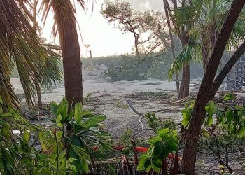 DENUNCIAN DEVASTACIÓN DE MANGLAR EN TULUM POR GRUPO “ROSA NEGRA”