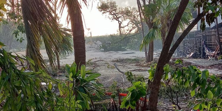 DENUNCIAN DEVASTACIÓN DE MANGLAR EN TULUM POR GRUPO “ROSA NEGRA”