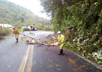 MANTIENE SCT ATENCIÓN A RED CARRETERA FEDERAL EN ESTADOS TRAS PASO DE “GRACE”