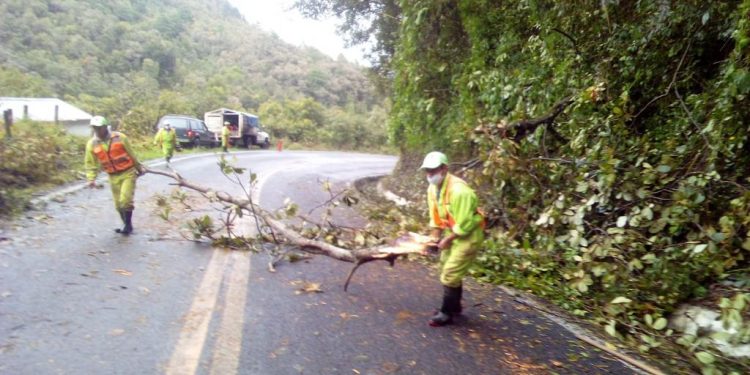 MANTIENE SCT ATENCIÓN A RED CARRETERA FEDERAL EN ESTADOS TRAS PASO DE “GRACE”