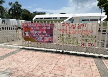 EXIGEN SE CUMPLAN BASIFICACIÓN DE MAESTROS DE EDUCACIÓN ESPECIAL