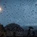 LLUVIAS MODERADAS A FUERTES AISLADAS PARA HOY EN LA SIERRA, Y MACUSPANA Y HUIMANGUILLO