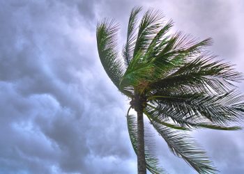 PIDE PROTECCIÓN CIVIL TABASCO TOMAR PRECAUCIÓN ANTE LA TORMENTA TROPICAL “GRACE”