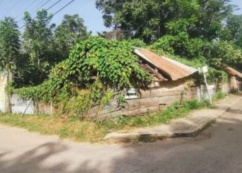 DENUNCIAN A DUEÑO DE EMPRESA DE MADERA EN JOSÉ MARÍA MORELOS POR ADEUDO DE LIQUIDACIONES
