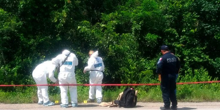 ENCUENTRAN CADÁVER EN ESTADO DE DESCOMPOSICIÓN A UN COSTADO DE LA AUTOPISTA, CERCA DE LEONA VICARIO