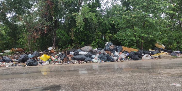 GENERAN HABITANTES DE IN HOUSE TIRADERO CLANDESTINO EN PLAYA DEL CARMEN