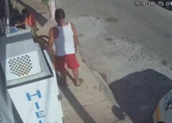 EXHIBEN VIDEO DE TAXISTA ATACANDO A MACHETAZOS A UNA PERRITA EN CHETUMAL