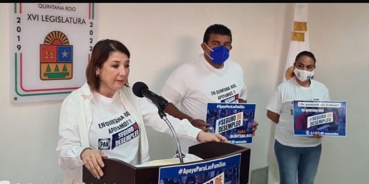 PIDEN PANISTAS SEGURO DE DESEMPLEO