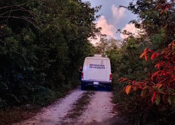 HALLAN CADÁVER POR LA CARRETERA CONOCIDA COMO ‘GAS AUTO’, EN CANCÚN