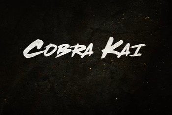 NETFLIX ANUNCIA LA FECHA DE ESTRENO DE LA CUARTA TEMPORADA DE COBRA KAI