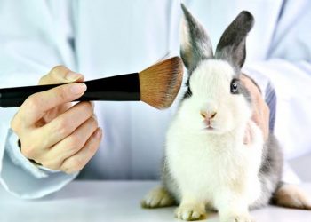 SENADO PROHÍBE USO DE ANIMALES PARA PRUEBAS DE COSMÉTICOS; IMPONE PENAS DE HASTA 7 AÑOS
