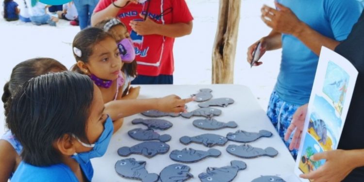 SUMAN ESFUERZOS PARA LA CONCIENTIZACIÓN DE LA PROTECCIÓN DE LOS MANATÍES EN QUINTANA ROO