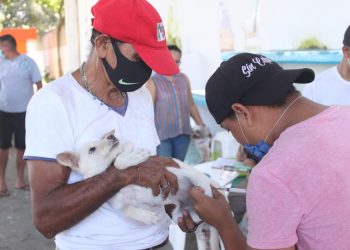 DEL 19 AL 25 DE SEPTIEMBRE LA “JORNADA NACIONAL DE VACUNACIÓN ANTIRRÁBICA CANINA Y FELINA 2021”