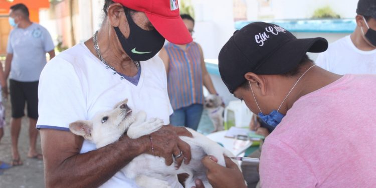 DEL 19 AL 25 DE SEPTIEMBRE LA “JORNADA NACIONAL DE VACUNACIÓN ANTIRRÁBICA CANINA Y FELINA 2021”