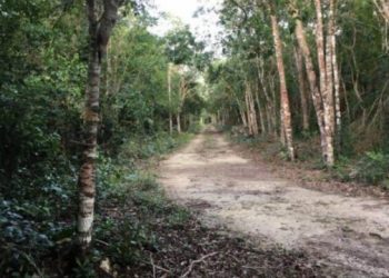 SEDETUS EXHORTA A EVITAR COMPRAR TERRENOS SIN GARANTÍA DE URBANIZACIÓN EN QUINTANA ROO