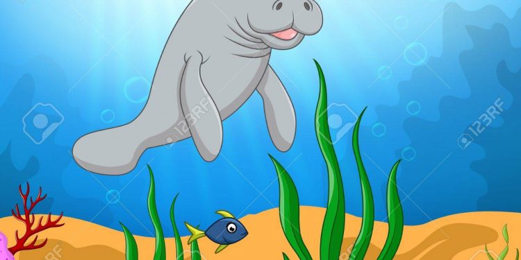 CONVOCAN A NIÑOS Y NIÑAS DE 6 A 13 AÑOS AL PRIMER CONCURSO DE DIBUJO INFANTIL: EL RESCATE DE UN MANATÍ