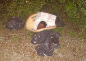 DEJAN CUERPO DE UN HOMBRE DESCUARTIZADO EN CHAN CHEMUYIL