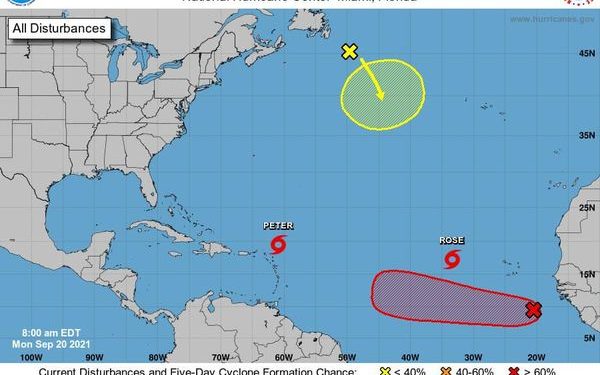 PETER Y ROSE NO REPRESENTAN PELIGRO PARA QUINTANA ROO
