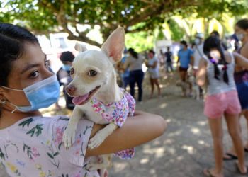 APLICARÁN VACUNA ANTIRRÁBICA CANINA Y FELINA ESTE 29 DE SEPTIEMBRE EN ISLA MUJERES