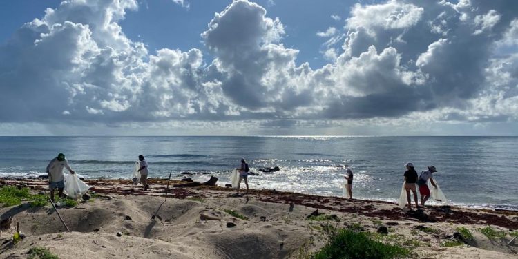 LA FUNDACIÓN ECO-BAHÍA JUNTO CON SCUBAQUATIC Y SSI LLEVAN A CABO UNA LIMPIEZA SUBMARINA CONSIGUIENDO RECOGER 40 KILOS DE BASURA