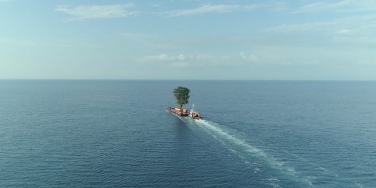 AMBULANTE ANUNCIA DOCUMENTALES RELACIONADOS CON LA DEFENSA DEL TERRITORIO Y LA JUSTICIA CLIMÁTICA, MÁS SU SECCIÓN RESISTENCIAS