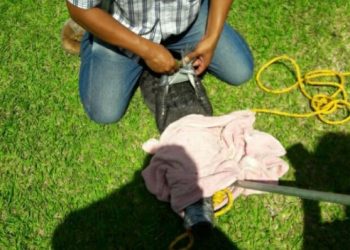 RESCATAN A COCODRILO HERIDO VARADO EN LAGUNA DE BACALAR