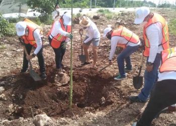 LA EMPRESA RED AMBIENTAL, FORESTAN EL PARQUE DE LA EQUIDAD EN CANCÚN
