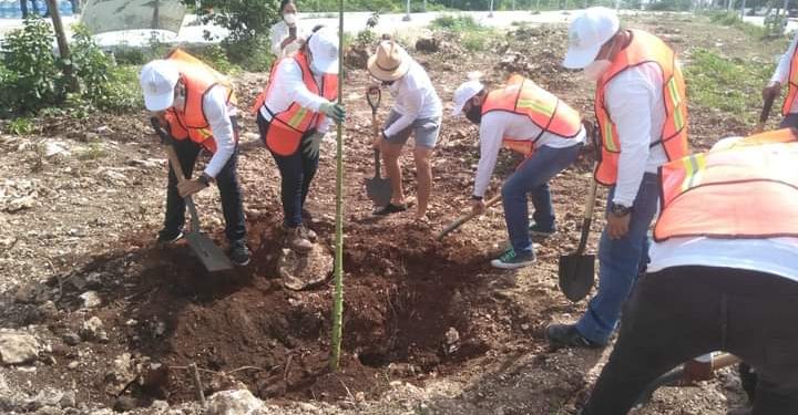 LA EMPRESA RED AMBIENTAL, FORESTAN EL PARQUE DE LA EQUIDAD EN CANCÚN