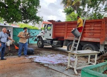 SEGUIRÁN TRABAJANDO EN DESCACHARRIZACION PARA EVITAR DENGUE
