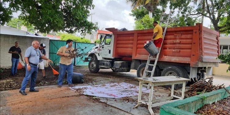 SEGUIRÁN TRABAJANDO EN DESCACHARRIZACION PARA EVITAR DENGUE