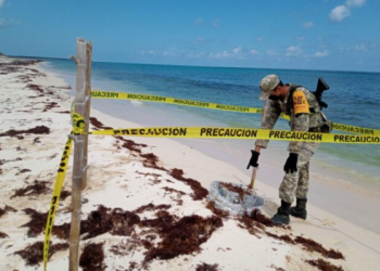 RECALAN 28 PAQUETES CON DROGA EN COZUMEL