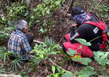 HALLAN SANO A HOMBRE DE 78 AÑOS QUE SE PERDIÓ EN LA SELVA, CERCA DE CANCÚN