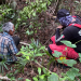 HALLAN SANO A HOMBRE DE 78 AÑOS QUE SE PERDIÓ EN LA SELVA, CERCA DE CANCÚN