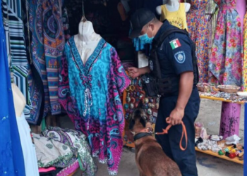 DETIENEN A CINCO PERSONAS DURANTE OPERATIVO EN LA ZONA TURÍSTICA DE COZUMEL
