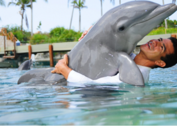 PRESENTAN ESTUDIO CIENTÍFICO “HACIA EL ENTENDIMIENTO DEL BIENESTAR ANIMAL DE CETÁCEOS EN ZOOLÓGICOS, ACUARIOS Y DELFINARIOS ACREDITADOS”: AMHMAR.