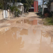 DENUNCIAN EXCESO DE VELOCIDAD DE VOLQUETES QUE TRABAJAN EN LAS OBRAS DEL TREN MAYA EN EL IDEAL