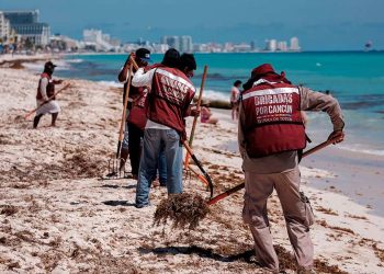 DISMINUYE PRESENCIA DE SARGAZO EN PLAYAS DE QUINTANA ROO