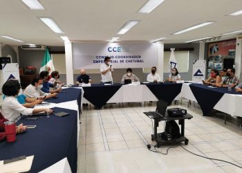 EMPRESARIOS DEL SUR DE QR PIDEN A SEFIPLAN DEROGAR EXPEDICIÓN DE LICENCIAS DE BEBIDAS ALCOHÓLICAS PARA EL RUBRO DE VENTA EN LÍNEA