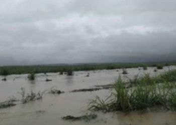 RETIRAN SEGURO CATASTRÓFICO A CAMPESINOS DE QUINTANA ROO
