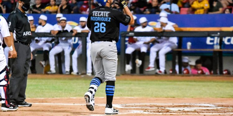 CONTINÚAN LAS ACTUACIONES DE TIGRES EN LMP
