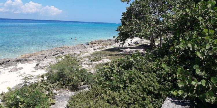 ZOFEMAT BUSCARÁ DECLARAR COMO PÚBLICA LA PLAYA ‘ROCAS’, EN COZUMEL