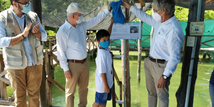 EL MENOR JOSÉ LUIS GONZÁLEZ POOT RESULTÓ GANADOR DEL CONCURSO “PONLE NOMBRE AL BEBÉ MANATÍ”
