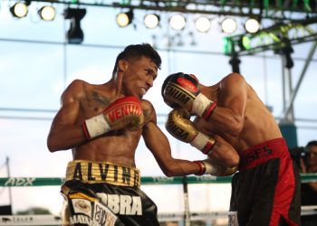 «LA COBRA» HERRERA QUIERE «MORDER» EN CANCÚN