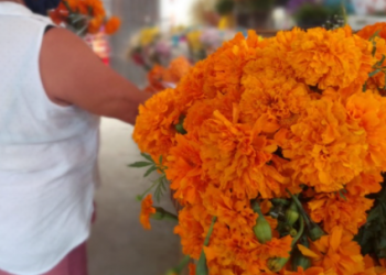 COMIENZA LA VENTA DE FLORES DE CEMPASÚCHIL EN EL MERCADO 23 DE CANCÚN