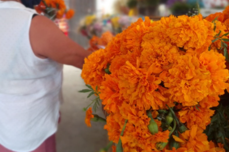 COMIENZA LA VENTA DE FLORES DE CEMPASÚCHIL EN EL MERCADO 23 DE CANCÚN