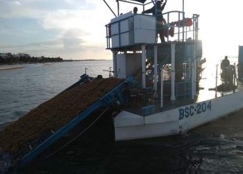 BARCOS SARGACEROS DE LA MARINA TIENEN EFICIENCIA DEL 20%, REVELA INGENIERO