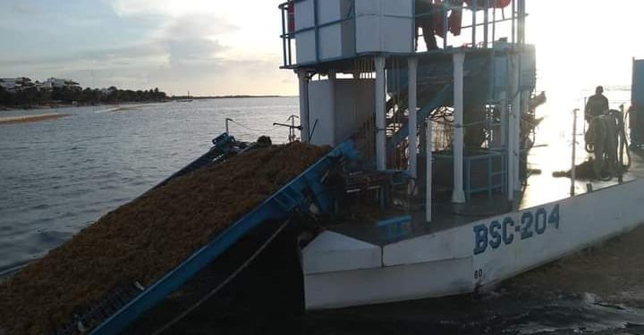 BARCOS SARGACEROS DE LA MARINA TIENEN EFICIENCIA DEL 20%, REVELA INGENIERO