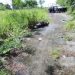 HALLAN CUERPO EMBOLSADO JUNTO A CARRETERA EN BACALAR