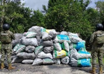 ASEGURA LA MARINA 41 TONELADAS DE CARBÓN LEGAL EN QUINTANA ROO